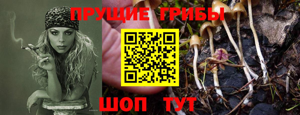 Галлюциногенные грибы Magic Shrooms  Вход с VPN  Псилоцибиновые грибы прущие грибы  Чернушка 